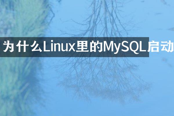 为什么Linux里的MySQL启动
