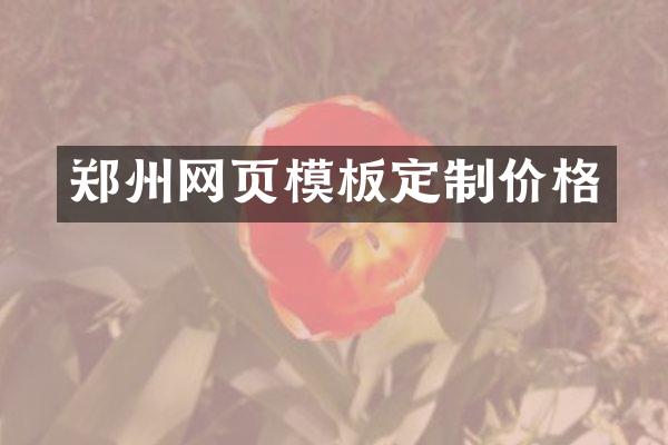 郑州网页模板定制价格