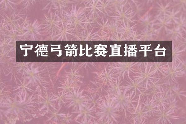 宁德弓箭比赛直播平台
