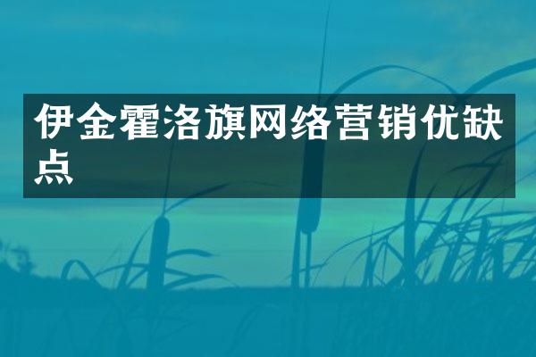 伊金霍洛旗网络营销优缺点