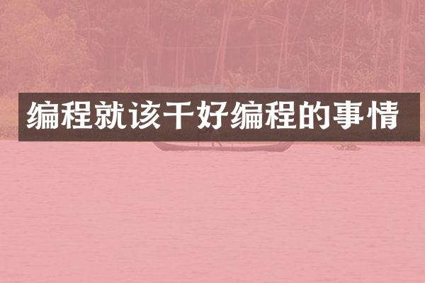 编程就该干好编程的事情