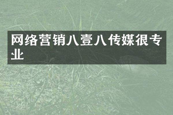 网络营销八壹八传媒很专业