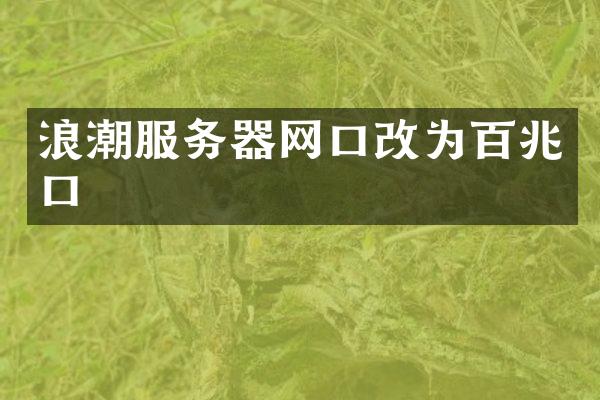 浪潮服务器网口改为百兆口