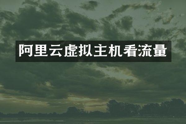 阿里云虚拟主机看流量