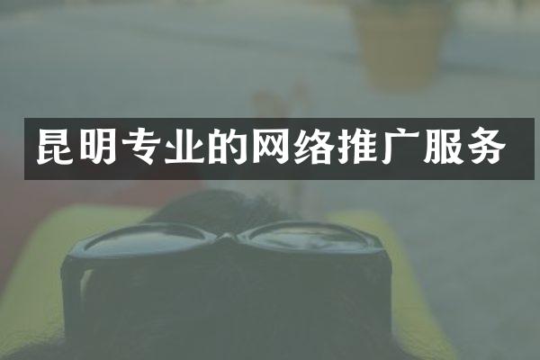 昆明专业的网络推广服务