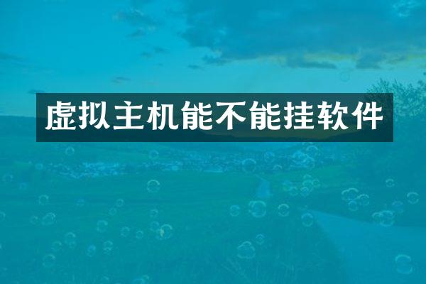 虚拟主机能不能挂软件