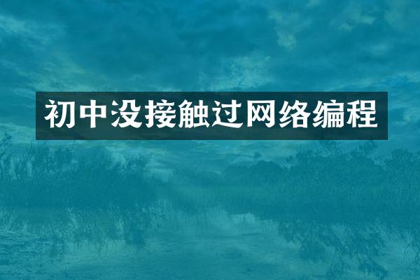 初中没接触过网络编程