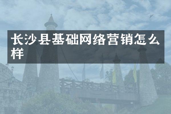 长沙县基础网络营销怎么样