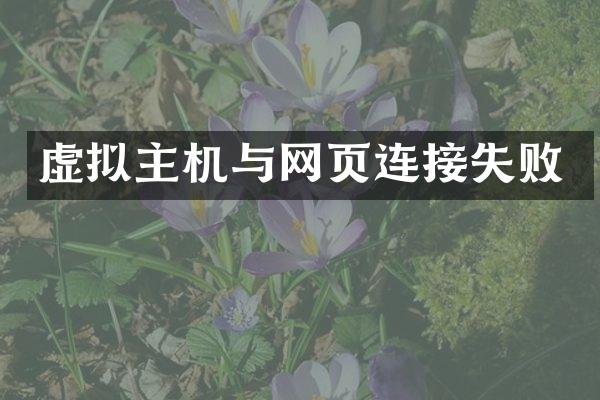 虚拟主机与网页连接失败
