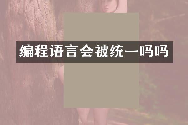 编程语言会被统一吗吗