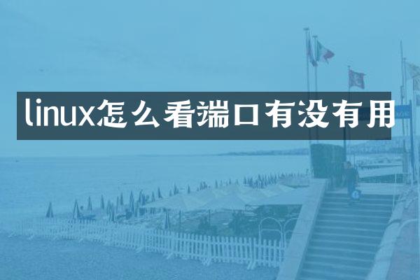 linux怎么看端口有没有用