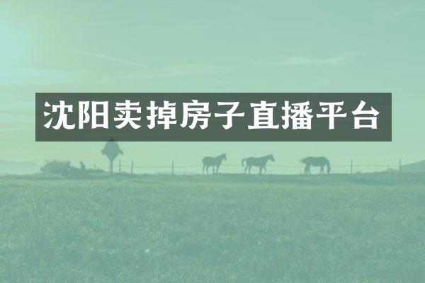 沈阳卖掉房子直播平台