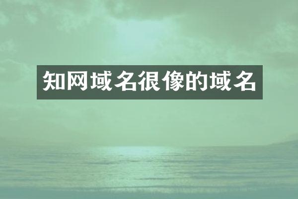 知网域名很像的域名
