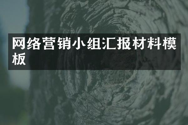 网络营销小组汇报材料模板
