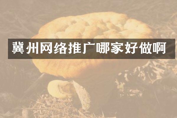 冀州网络推广哪家好做啊