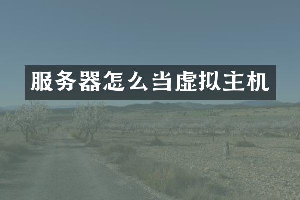 服务器怎么当虚拟主机