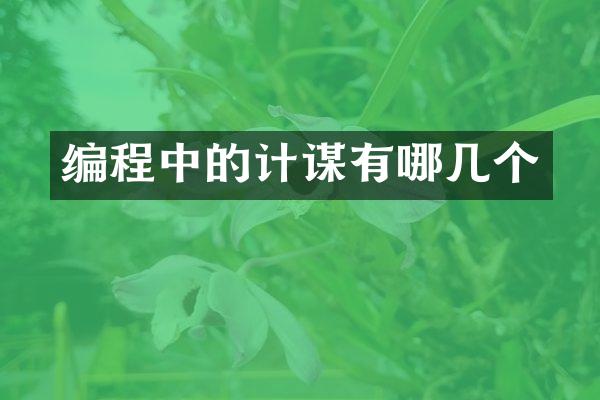 编程中的计谋有哪几个