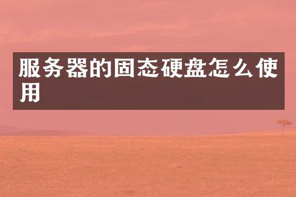服务器的固态硬盘怎么使用