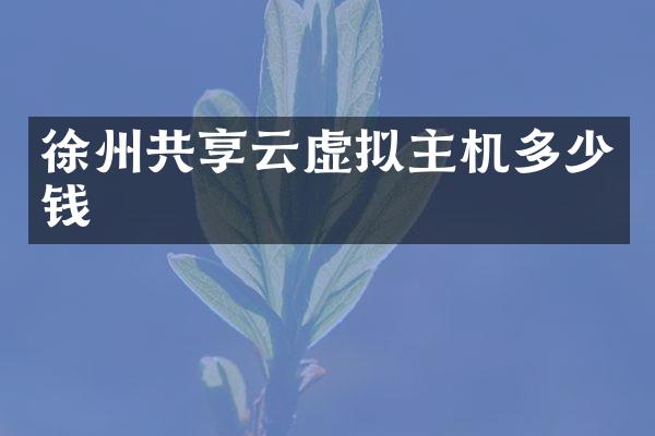 徐州共享云虚拟主机多少钱