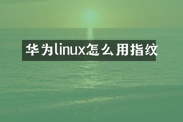 华为linux怎么用指纹