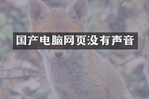 国产电脑网页没有声音