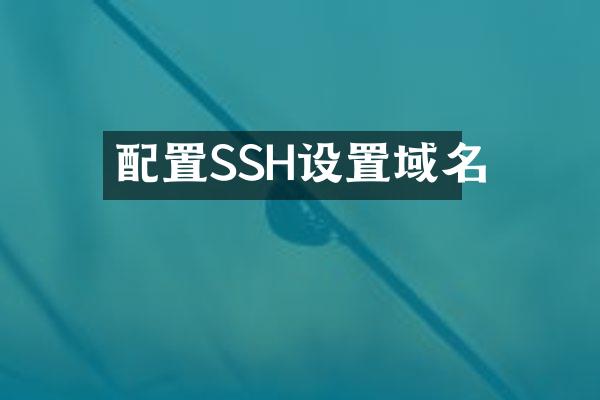 配置SSH设置域名