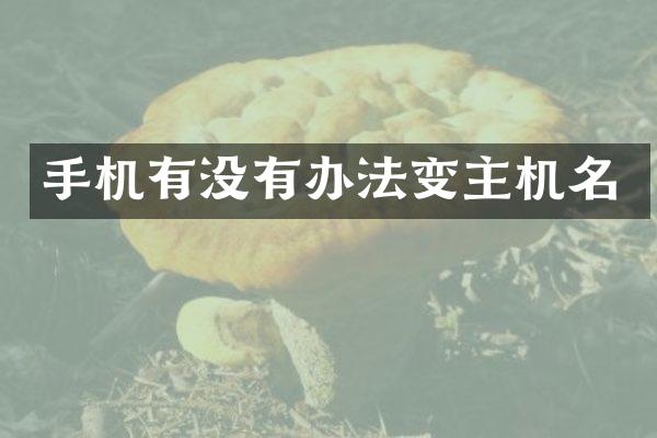 手机有没有办法变主机名