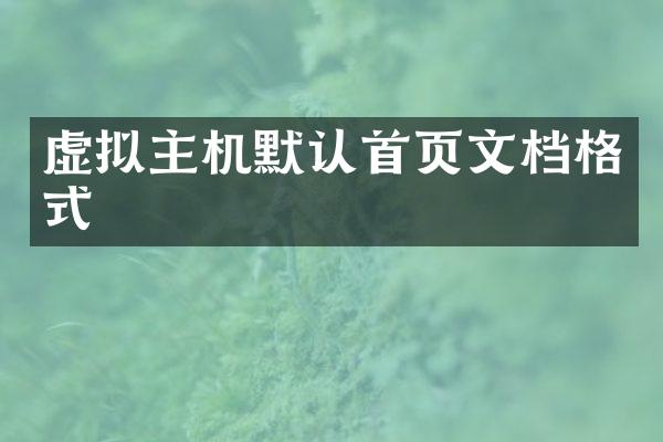 虚拟主机默认首页文档格式