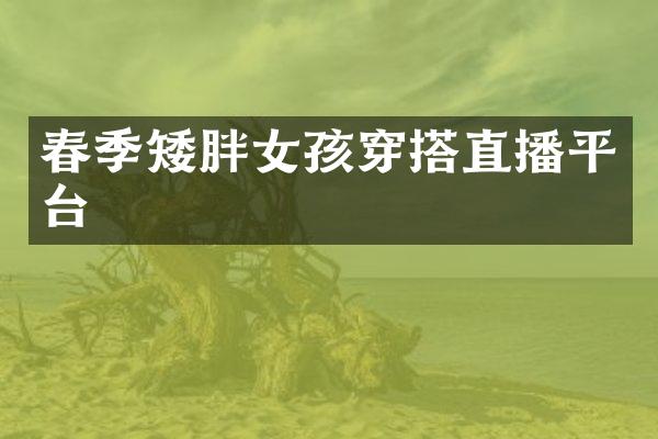 春季矮胖女孩穿搭直播平台
