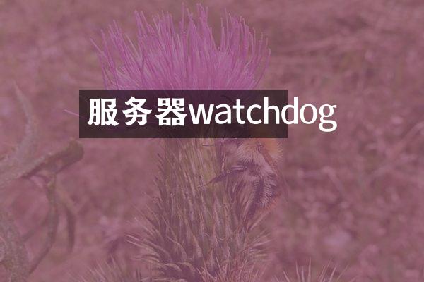 服务器watchdog