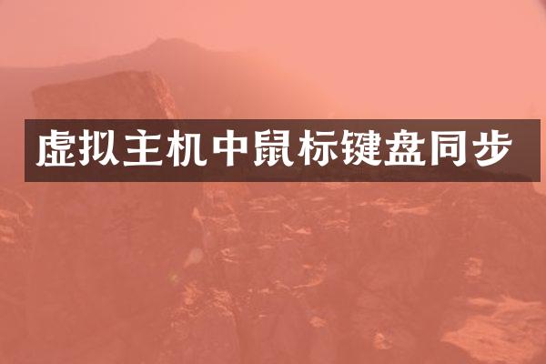 虚拟主机中鼠标键盘同步