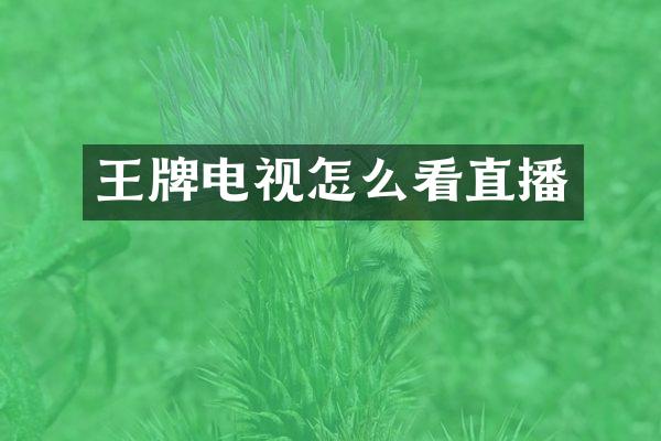 王牌电视怎么看直播