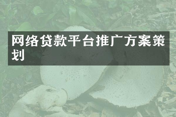 网络贷款平台推广方案策划