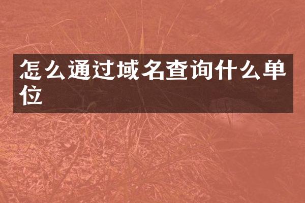怎么通过域名查询什么单位