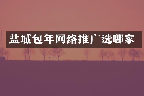 盐城包年网络推广选哪家