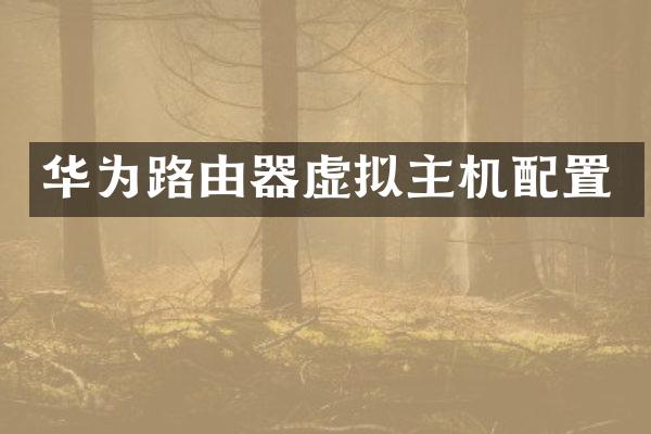华为路由器虚拟主机配置