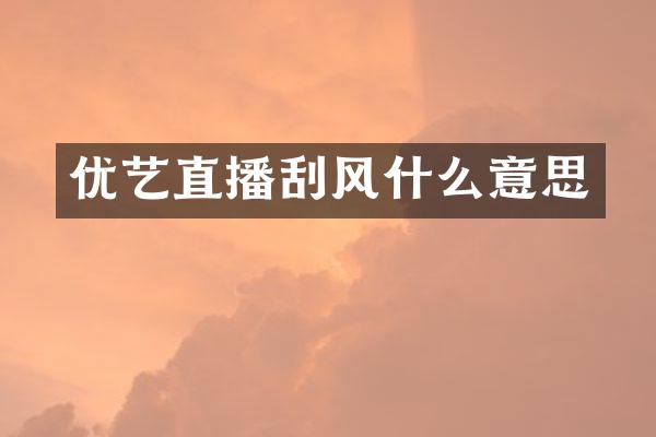 优艺直播刮风什么意思
