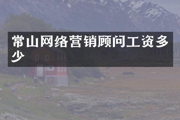 常山网络营销顾问工资多少