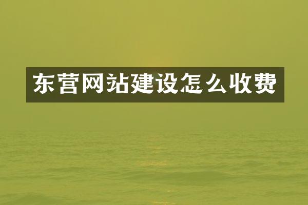 东营网站建设怎么收费
