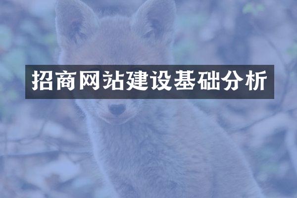 招商网站建设基础分析