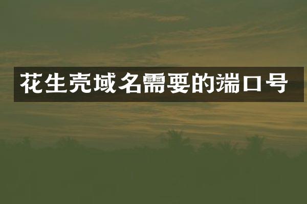 花生壳域名需要的端口号