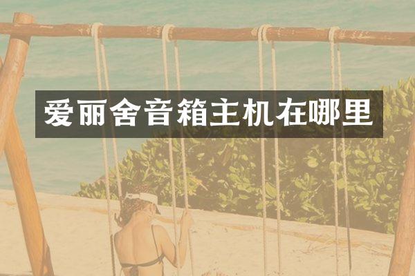 爱丽舍音箱主机在哪里