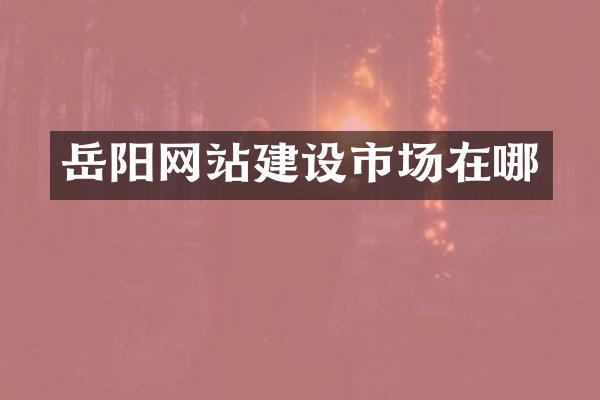 岳阳网站建设市场在哪