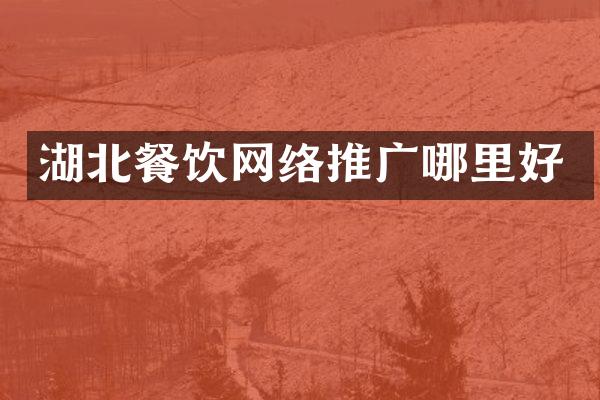 湖北餐饮网络推广哪里好