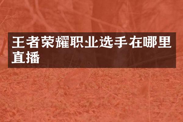 王者荣耀职业选手在哪里直播