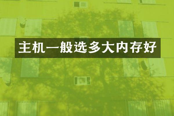 主机一般选多大内存好
