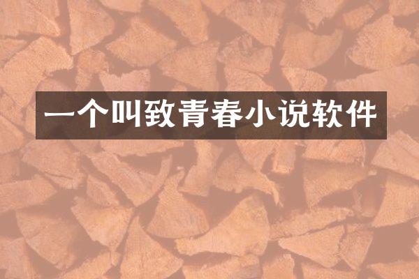 一个叫致青春小说软件