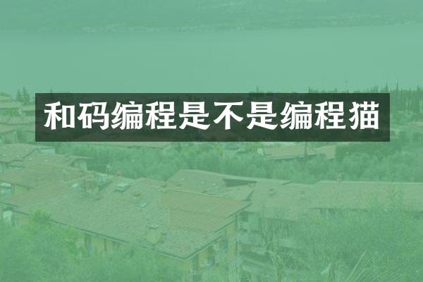 和码编程是不是编程猫