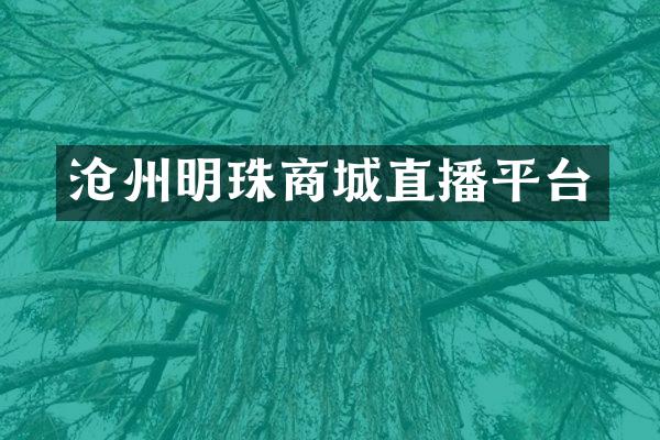 沧州明珠商城直播平台