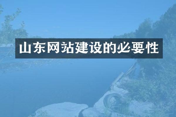 山东网站建设的必要性